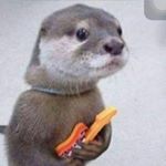 Profile Picture of Bart Romero Navas (@bartromeronavas) on Instagram