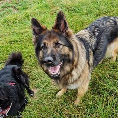 Profile Picture of ruthhartmann (@ruthhartmann) on Tiktok