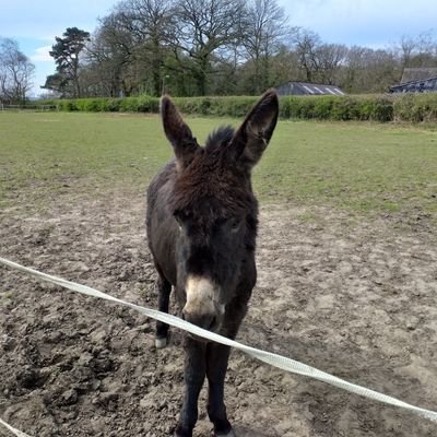 Profile Picture of Paula Grogan (@grogan_paula) on Twitter