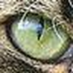 Profile Picture of Alex Lipinski (@goosewing) on Flickr