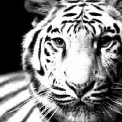 Profile Picture of Jessica Jones (@JesseAngelBlaze) on Twitter