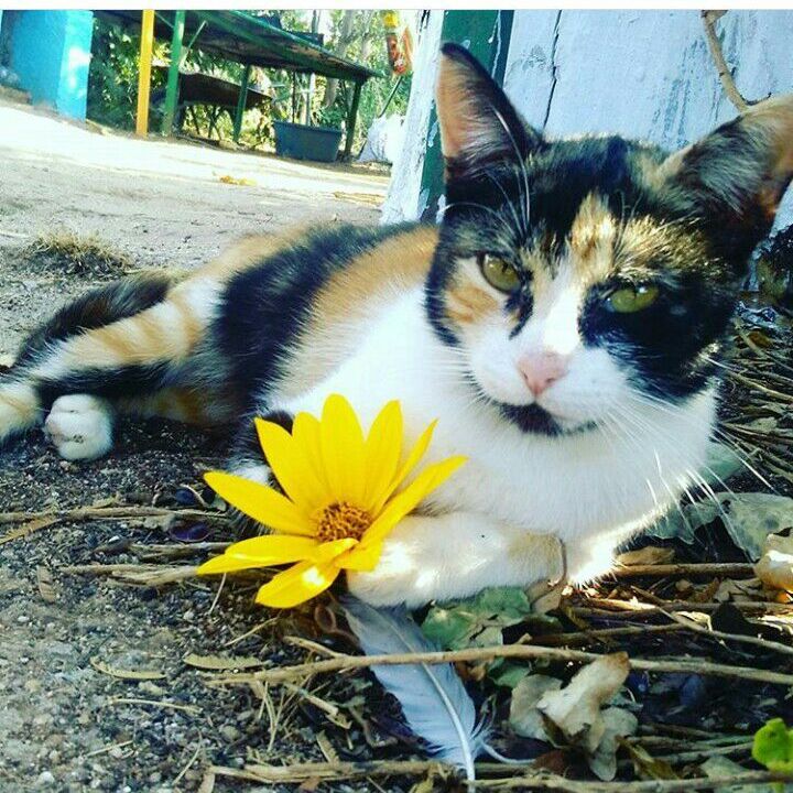 Profile Picture of Adrian (@adrian_everdeen) on Tiktok