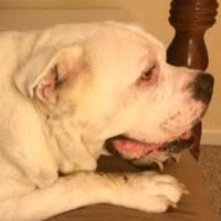 Profile Picture of Mcrae Smith (@mcrae-smith-1) on Quora