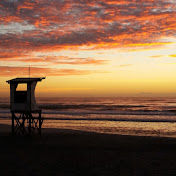 Profile Picture of Trevor Lancaster (@trevorlancaster167) on Youtube