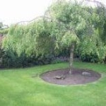 Profile Picture of Derek Grainger (@wicklowlad) on Instagram