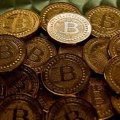 Profile Picture of DeniseHolt (@DeniseHolt1) on Twitter