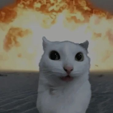 Profile Picture of John Pettigrew (@@e1_duende) on Tiktok