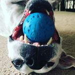 Profile Picture of Kevin Smitherson (@offensiveusername1) on Instagram