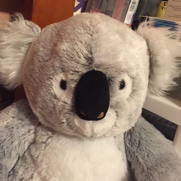 Profile Picture of Alysha Baechle (@abaechle) on Poshmark