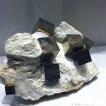 Profile Picture of James Von Bogusz (@jamesvonbogusz) on Instagram