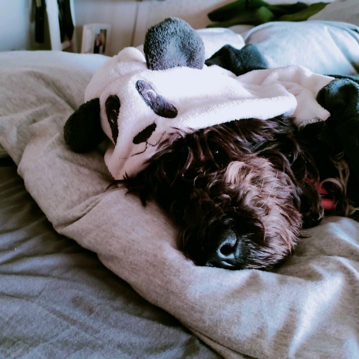 Profile Picture of Cloe.perez (@cloe.perez) on Tiktok