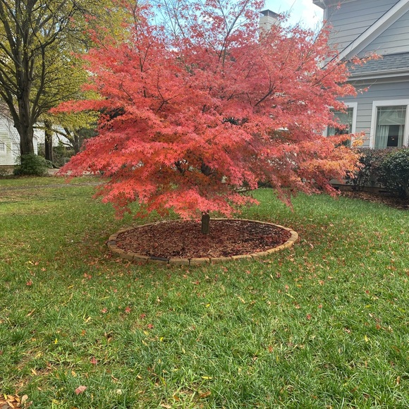 Profile Picture of Kana Knollmeyer (@kmichelek) on Poshmark