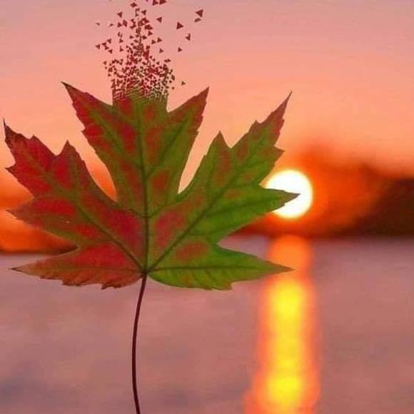 Profile Picture of Vivian mohab Mohab (@vmohab227282728) on Poshmark