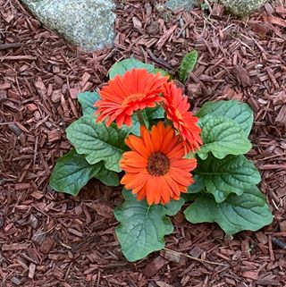 Profile Picture of Ruth Nelson (@ruth.nelson.355) on Facebook