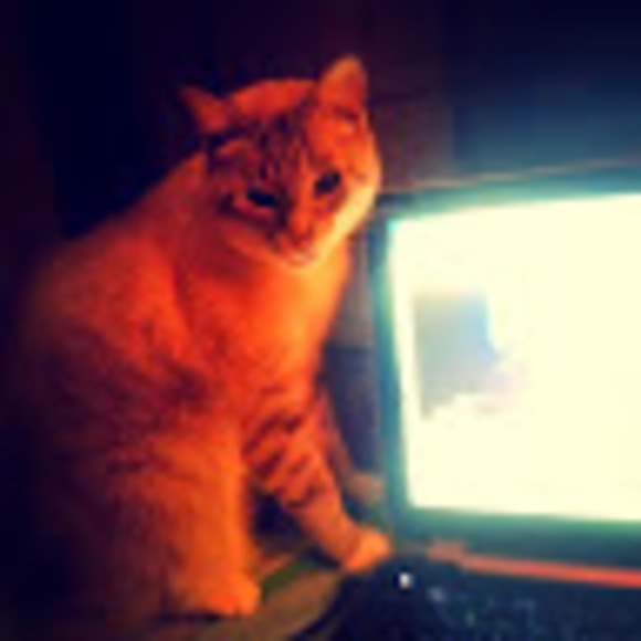 Profile Picture of Christian Cervera (@treefellow1234) on Poshmark