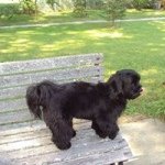 Profile Picture of moniquelemieux (@moniquelemieux) on Instagram