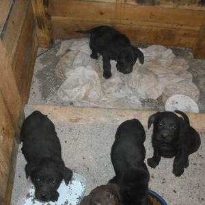 Profile Picture of Sammy Shuler (@355722492) on Myspace