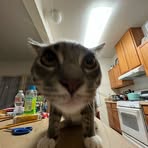 Joseph Blacken - Facebook Profile Picture of Joseph Blacken (@Joseph-Blacken) on Facebook