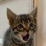 Profile Picture of 달자 (@_dalzzaya) on Instagram