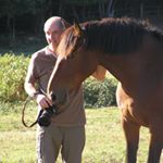 David Harbison - Instagram Profile Picture of David Harbison (@fluster_buster) on Instagram