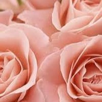 Profile Picture of Niamh Smith (@niamh-smith-48) on Quora