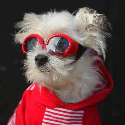 Profile Picture of Cristian Vlad (@_Cristian_Vlad_) on Twitter