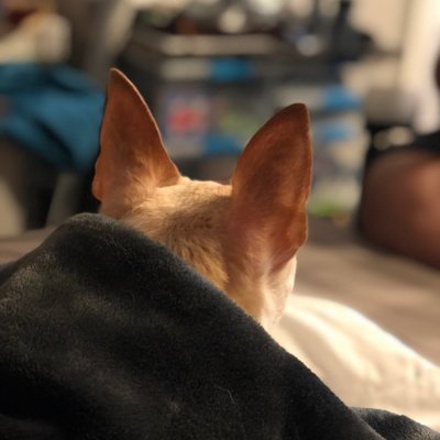 Profile Picture of Simon (@AyeTeaGuy) on Twitter