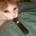 Profile Picture of Ashton Reid/Laurance (@swag_is_bruh) on Instagram