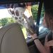 Profile Picture of Lisa Mansell (@lisajmansell3) on Pinterest