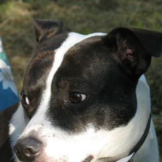 Profile Picture of Andrew Coburn (@andrew.coburn.50) on Facebook