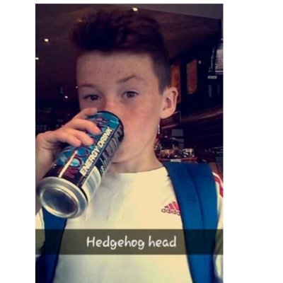 Profile Picture of Sean_fox_carberry (@seany_fox_2020) on Twitter