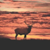 Profile Picture of Trista Cooper (@trista-cooper-5) on Quora