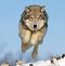 Profile Picture of Roelof de Vries (@roelof.devries.902) on Facebook
