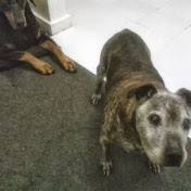 Profile Picture of Barry Cunningham (@MegaScrapman) on Youtube