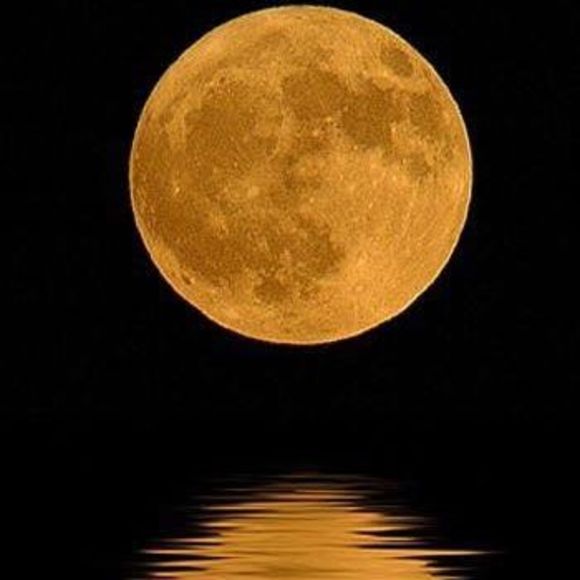 Robin Depoty - Poshmark Profile Picture of Robin Depoty (@robindepoty) on Poshmark