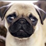 Chandler_ Profile Picture of Chandler_