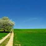 Profile Picture of Jan Ellendorf (@jan.ellendorf.9) on Facebook