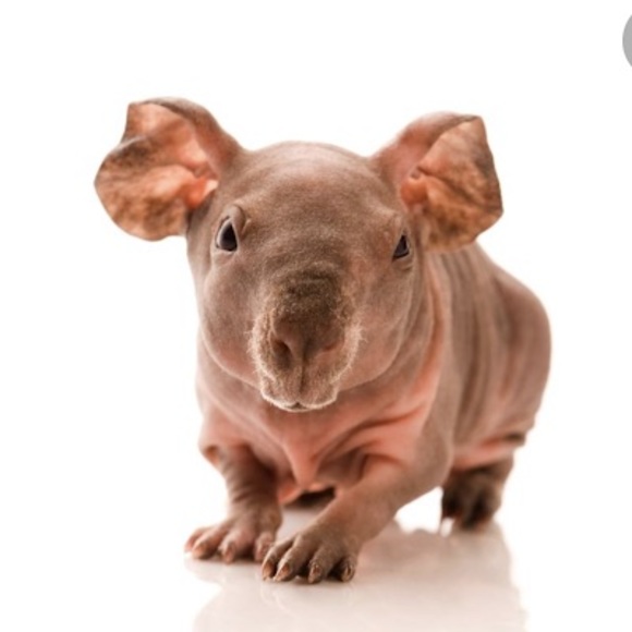 Profile Picture of Kellen Allen (@kellenallen495) on Poshmark