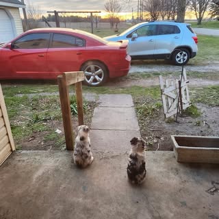 Profile Picture of Mark Eber (@eber.mark) on Instagram