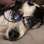 Profile Picture of Tammy Maria Settles (@tammycmaria) on Instagram
