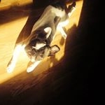 Profile Picture of Brian Karim (@karim.brian) on Instagram