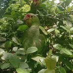 Profile Picture of Isel Martinez (@Isel-Martinez) on Facebook