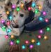 Profile Picture of Tammy Cole Tasker (@tammy.dixon.3975) on Facebook