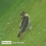 Profile Picture of isaiah alvarado patten (@isaiah_pstten2) on Instagram