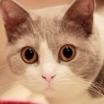 Profile Picture of 爪爪酱 (@kenyon647) on Instagram