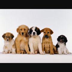 Profile Picture of Elba Adames (@AdamesElba) on Twitter