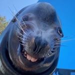 Profile Picture of aaron.ritter03 (@aaron.ritter03) on Instagram