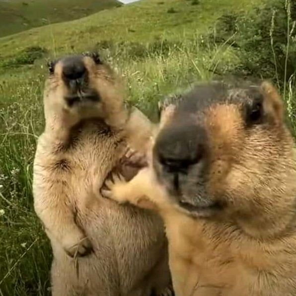 Profile Picture of Derek Zuma (@zenbos1) on Tiktok
