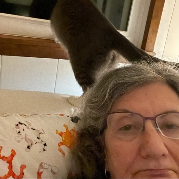 Profile Picture of Cindy Porter (@knitnana12) on Poshmark