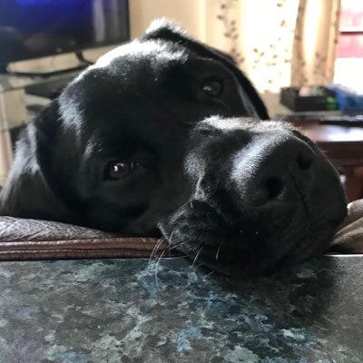 Rachel Streeter-Roach - Twitter Profile Picture of Rachel Streeter-Roach (@StreeterRoach) on Twitter